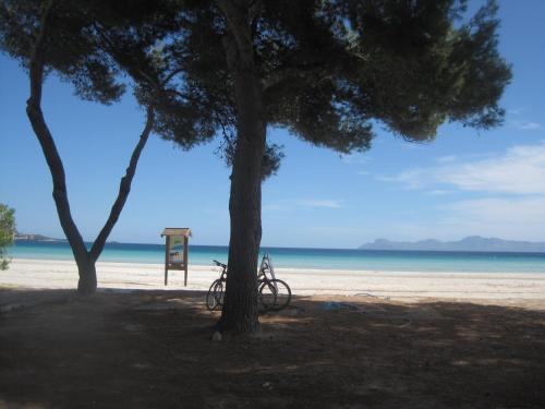 Фотография гостевого дома Carrasqueta