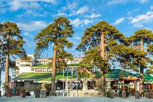 Фотография гостиницы Troodos Hotel