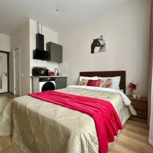 Фотография квартиры Квартира Уютная студия №2 на Городской