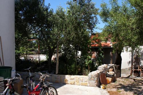 Фотография гостевого дома Apartments by the sea Sucuraj, Hvar - 6732