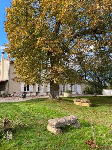 Фотографии мини отеля
Le Jardin dans les vignes
