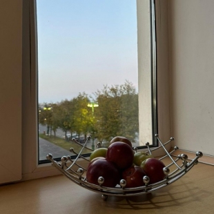 Фотография квартиры Апартаменты на улице Мерецкова Волосова