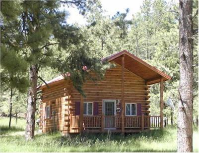 Фотография гостевого дома Papoose