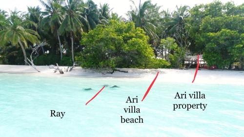 Фотография гостевого дома Arivilla