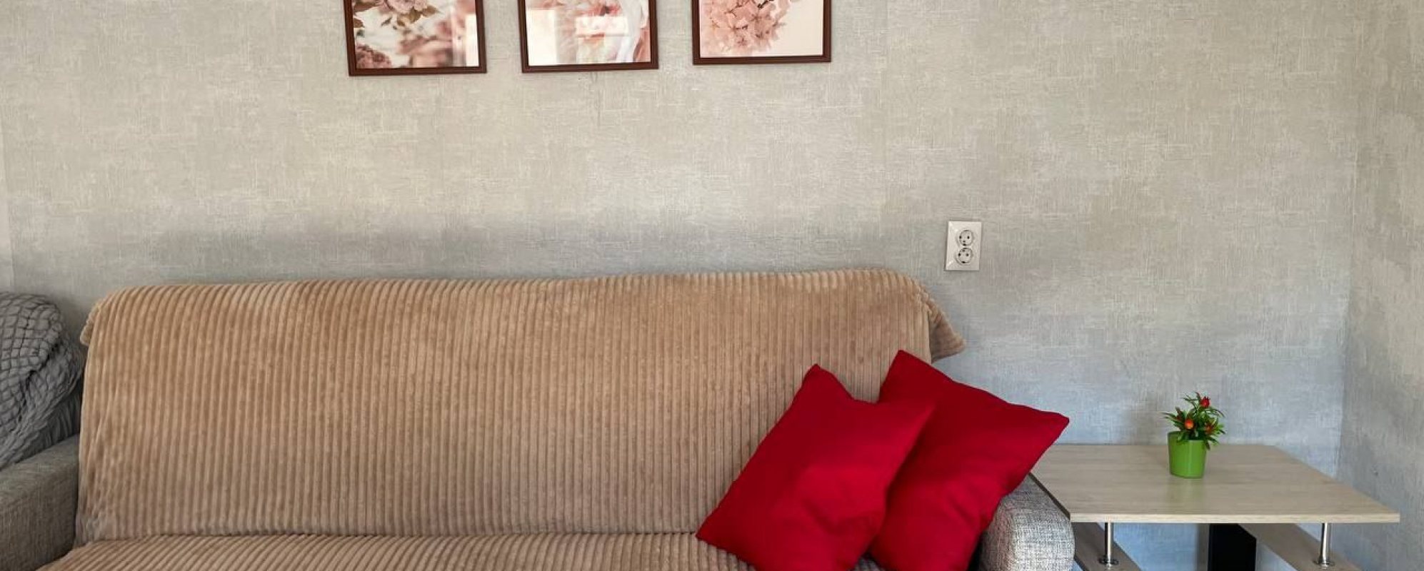 Фотографии квартиры Sweethome23 На Белинского, 2 (2)