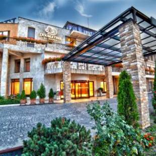 Фотографии гостиницы 
            DoubleTree by Hilton Hotel Sighisoara - Cavaler