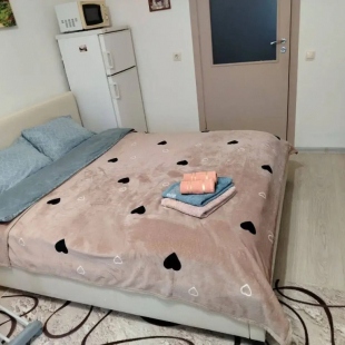 Фотография квартиры Квартира Уютное гнездышко в центре