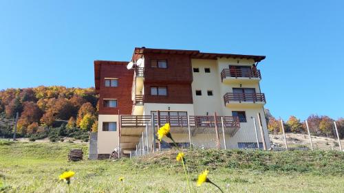 Фотография гостевого дома Pensiunea Daria