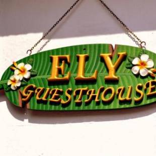Фотографии гостевого дома 
            Ely Guest House