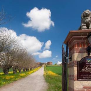 Фотографии базы отдыха
Tenuta Montemagno