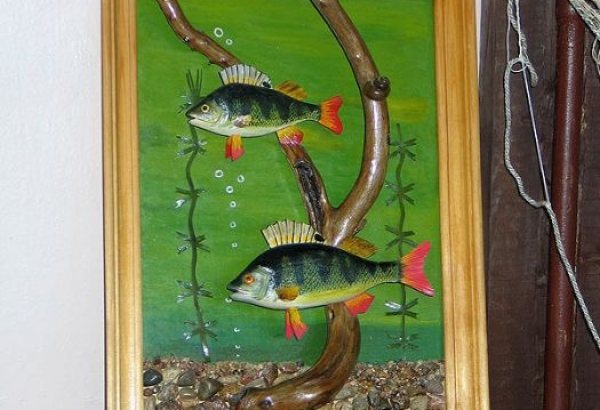 Фотография музея Музей рыбы