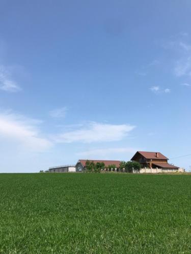 Фотографии мини отеля
Шантамбала