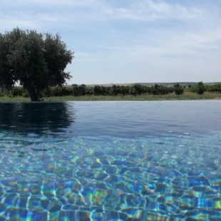 Фотография базы отдыха Terras - Agroturismo & Vinhos