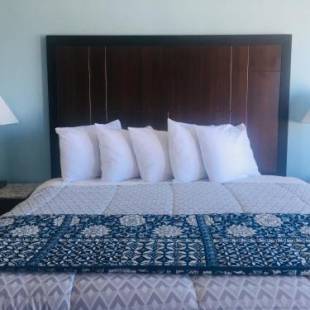 Фотографии мотеля 
            Dolphin Cove Motel