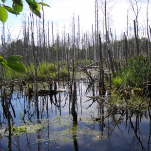 Фотография достопримечательности Природный заказник Белый камень