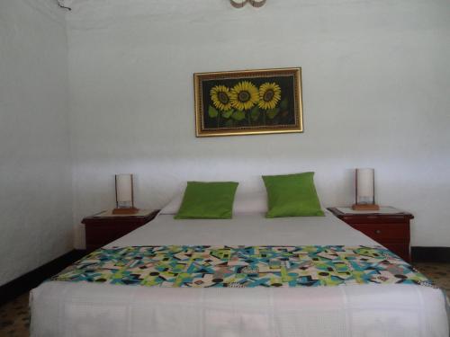 Фотография гостиницы Hotel La Coqueta