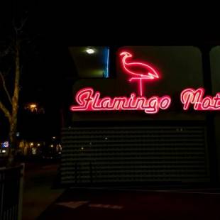 Фотографии мотеля 
            The Flamingo Motel San Jose