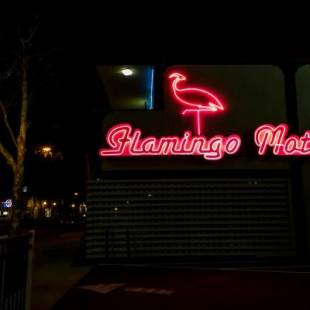 Фотографии мотеля
The Flamingo Motel San Jose