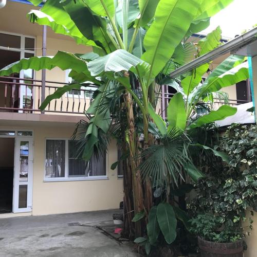 Фотография гостевого дома Надежда