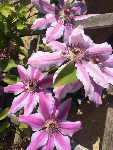 Фотография гостиницы Logis hôtel Le Manoir Des Portes