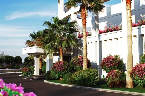 Фотография гостиницы The Palace Boutique Hotel