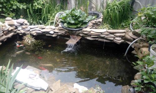 Фотографии гостевого дома 
            У Алекса