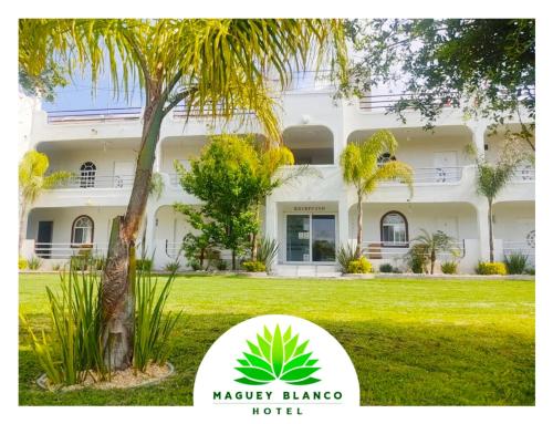 Фотографии гостиницы
Hotel Maguey blanco