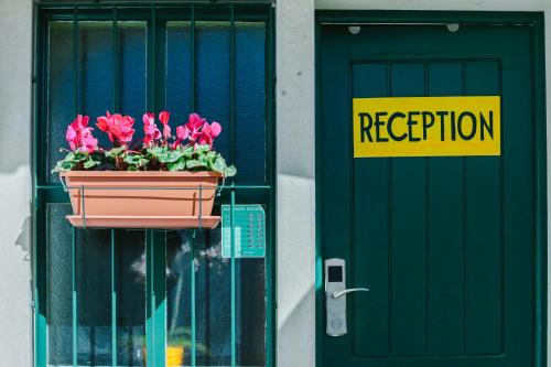 Фотография хостела Ljmonade Hostel