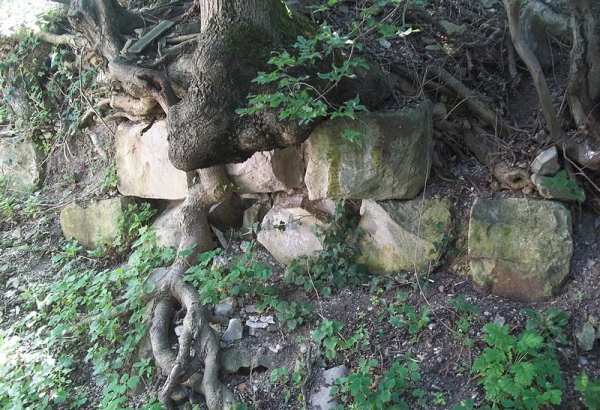 Фотография достопримечательности Руины крепости Никопсия (Дузу-Кале)