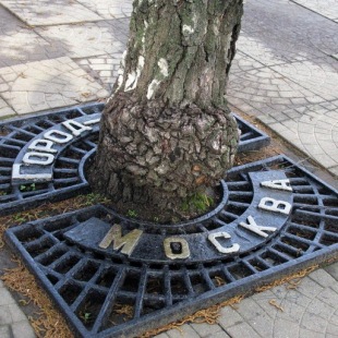 Фотография достопримечательности Аллея городов-героев