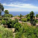 Фотография гостевого дома Finca El Lance