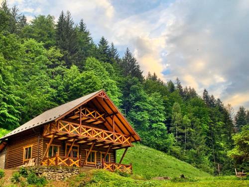 Фотографии гостевого дома
Терношорская Лада