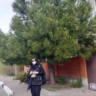 Фотография гостевого дома На Циолковского, 10