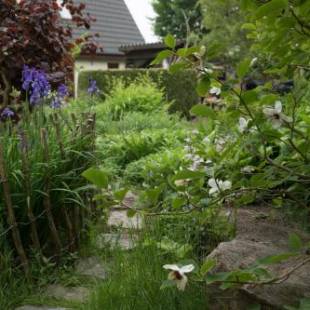 Фотографии мини отеля
Bed & Breakfast Horsens