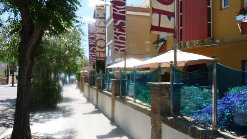 Фотография гостиницы Hotel Ribes Roges