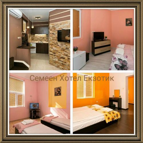 Фотография гостевого дома Guest Rooms Exotic