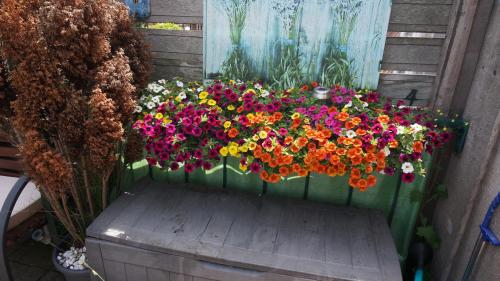 Фотография мини отеля Amsterdam Roof Terrace B&B