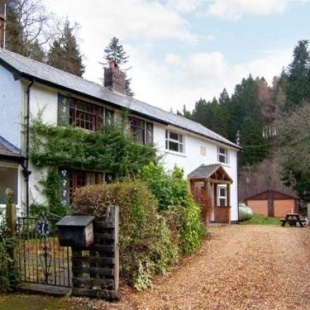 Фотография гостевого дома Forestry Cottage