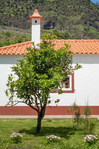 Фотография гостевого дома Casa do Bago