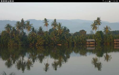 Фотография гостиницы Green Mango Bungalows