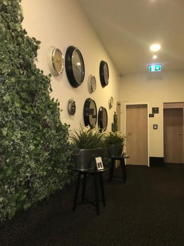 Фотография гостиницы Check-in Hamburg