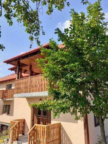 Фотография гостевого дома Pensiunea Agroturistica Ica