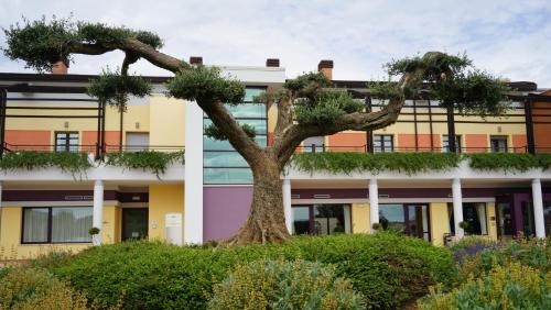 Фотография гостиницы Domus Hotel