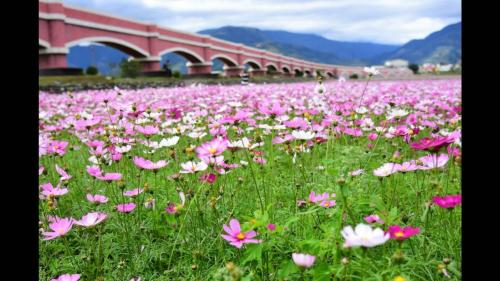 Фотография мини отеля Rose Castle