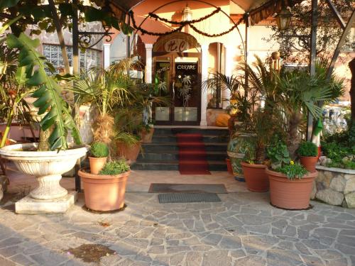 Фотография гостиницы Hotel Caribe