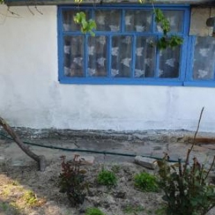 Фотография гостевого дома Уютный дворик