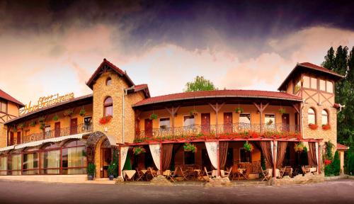 Фотография гостиницы Hotel Transilvania