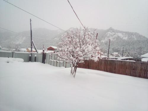 Фотография гостевого дома Дом у Валентины