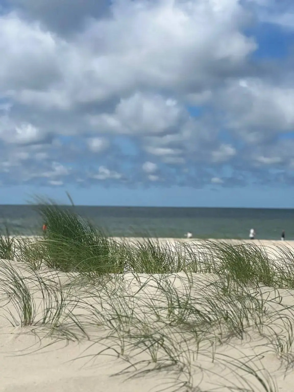 Фотография квартиры Апартаменты на море Marinella