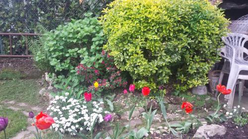 Фотография мини отеля B&B il Patio